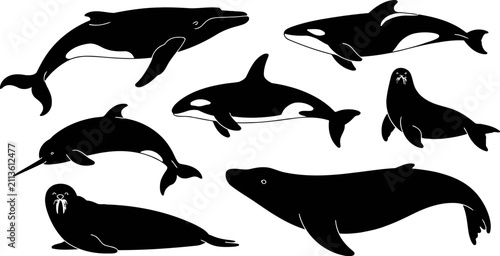 Cuadro en lienzo Set of marine mammals silhouettes including whale, orca, narwhal, walrus and sea