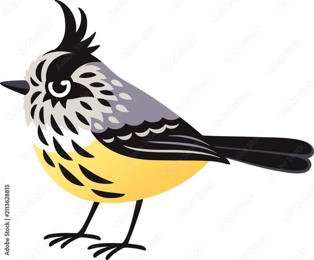 Fototapeta premium Cute Cachudito (tufted tit-tyrant) illustration, South American bird. Isolated cartoon vector clipart.