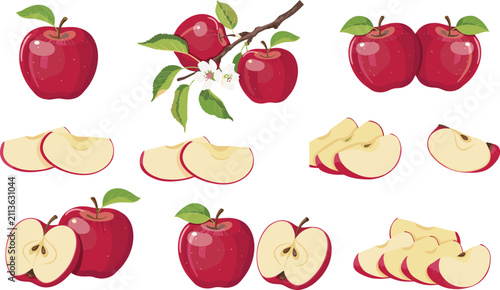 Fresh Red Apple Fruit Vector Icon Set with Whole Half Cut Slices and Tree Branch Blossoms for Organic Product Packaging Graphic Designs