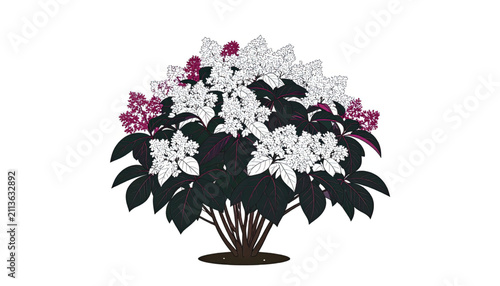 Dynamic Black Ink Splash and Splatter Vector Illustration on White Background