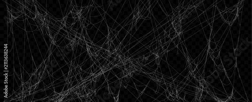 Realistic Vector Tangled White Spider Web Texture. Hanging Cobweb for Halloween design.