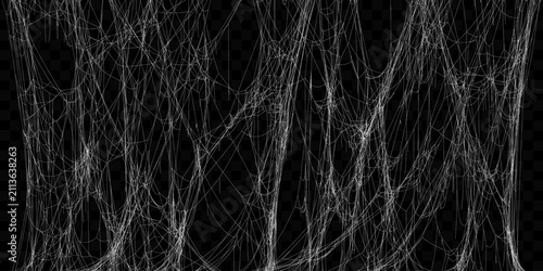 Realistic Vector Tangled White Spider Web Texture. Hanging Cobweb for Halloween design.