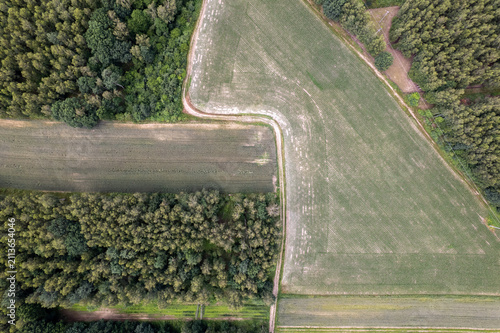Aerial view showing geometric agricultural fields and lush green forest dividing lines