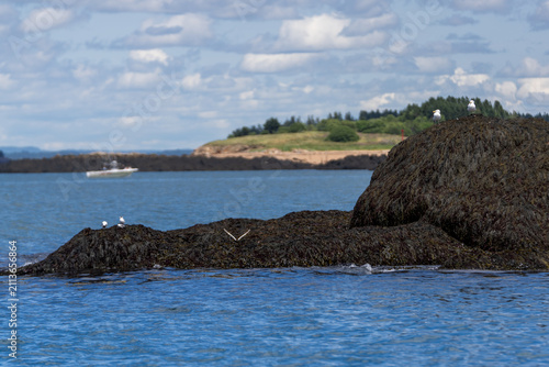 Lubec, Maine