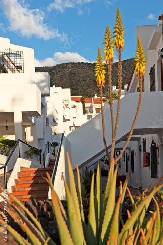 White resort hotel with blooming aloe vera plant in Los Cristianos, Tenerife, Canary Islands