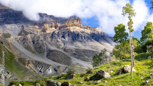 Canvastavla Ladakh mountain valley landscape with tall poplar trees on green grassy slope be