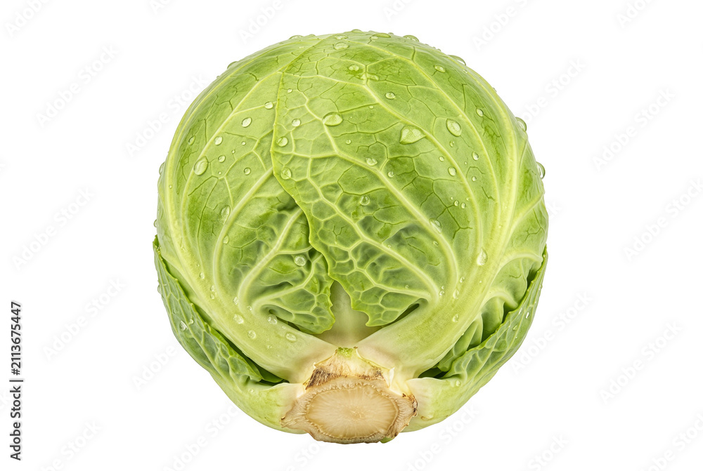 Fototapeta premium Fresh Green Brussels Sprout with Water Droplets