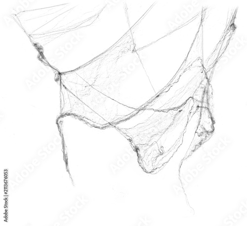 Tangled spider's web on isolated white background for Halloween design. Black cobweb for applying in multiply blend mode on any concept