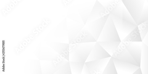 Konstfotografi Minimal white abstract background featuring polygonal geometric facets with a cl