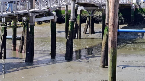 Incoming tide flowing between wooden harbor pilings and mudflats in the harbor of Husum during the North Sea tidal cycle.