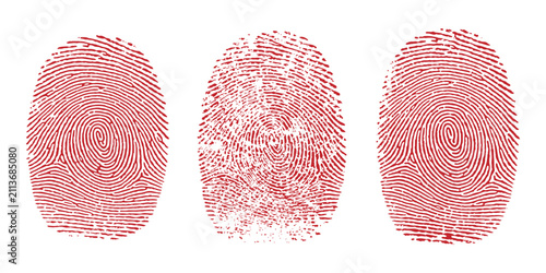 Obraz na plátne Red detailed human fingerprint biometric identification marks and security grunge textures collection vector illustration