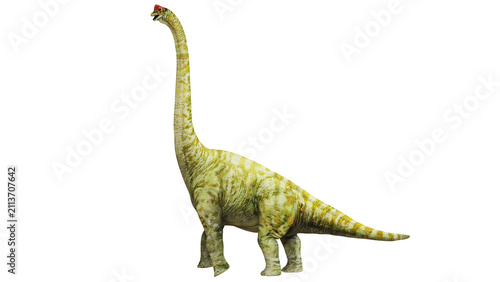 Konstfotografi Model of a Brachiosaurus dinosaur on white background