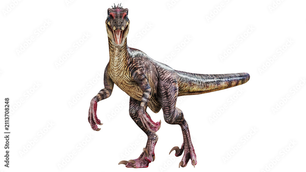 Fototapeta premium Ferocious dinosaur on a white background.