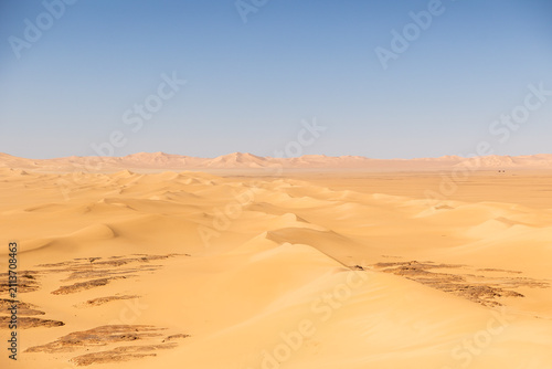 Vast Sand Dune Landscape in the Sahara