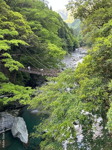 Iya Valley Ropebridge