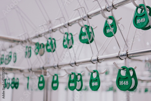 Принти на полотні Numbered green cloakroom tags hang on metal coat hooks in a modern public wardro