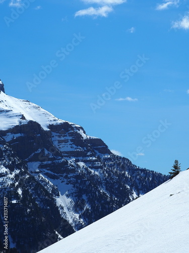 Panoramic view of the snowy Valle de Bujaruelo in the Spanish Pyrenees, featuring towering snow-capped mountain peaks and a deep blue sky. (152 caracteres)