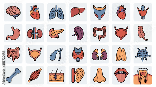 Foto Collection of human body organs and anatomical parts cartoon icons