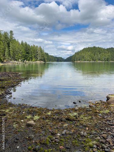 Low tide in a tree lined bay on a summer day