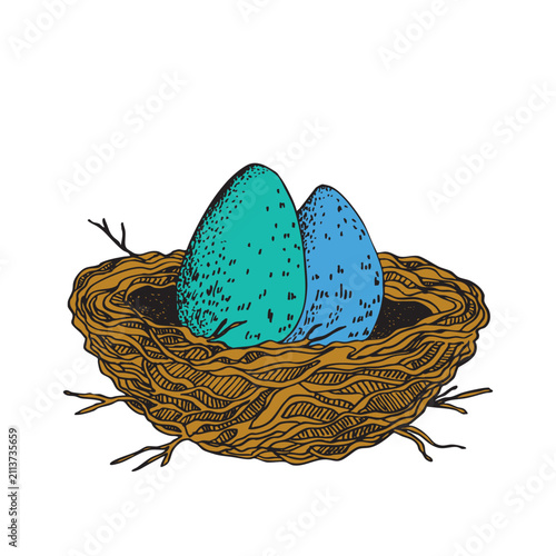 Bird nest with eggs. Easter hand drawn vector illustration, template design.