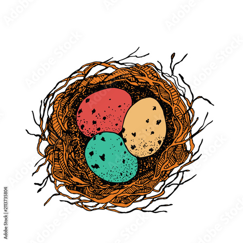Bird nest with eggs. Easter hand drawn vector illustration, template design.
