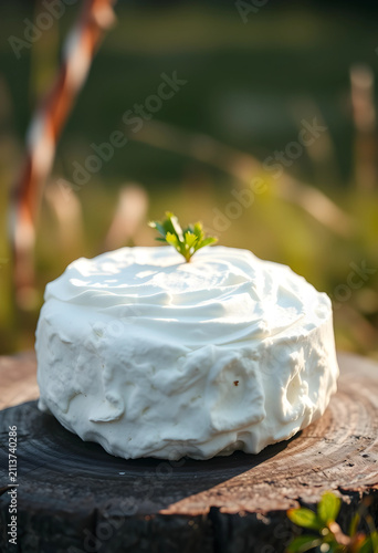 Fresh cottage cheese on woo...