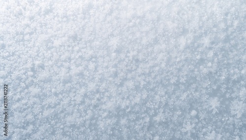 Winter Snow Covers the Ground With Many Snowflakes in a Simple Pattern