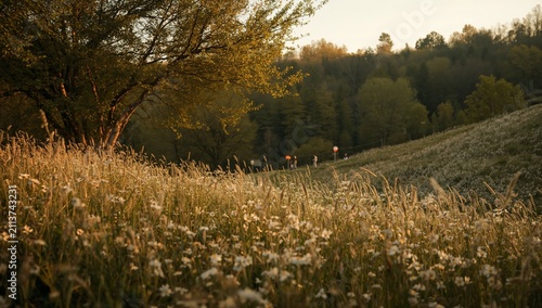 Sunlight Shines on a Meadow Filled With Flowers and Grass Near a Forest at Su...