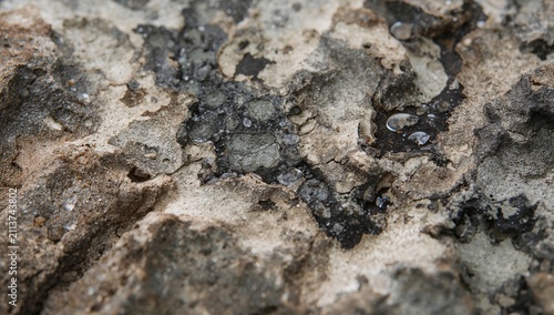 Surface of a Rock With Water Droplets and Texture Details From a Natural Setting