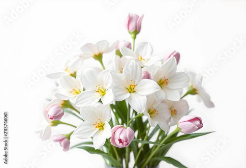Close-up of white rain lily flowers with pink tulip buds