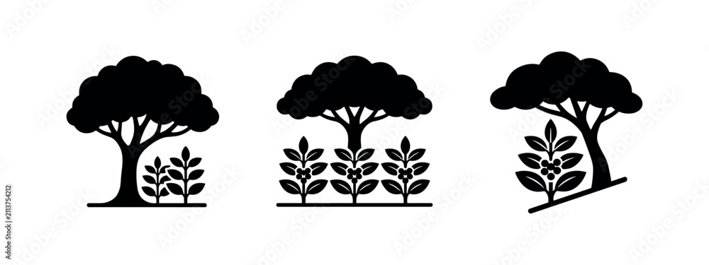 Fototapeta premium Set of Coffee Plant and Tree Icons with Berries. Agriculture and Nature Silhouettes.