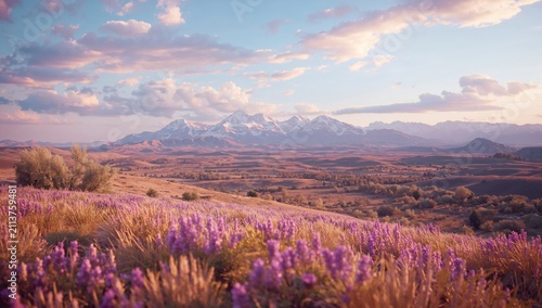 Mountains in the Background With Fields of Purple Flowers in the Afternoon Light