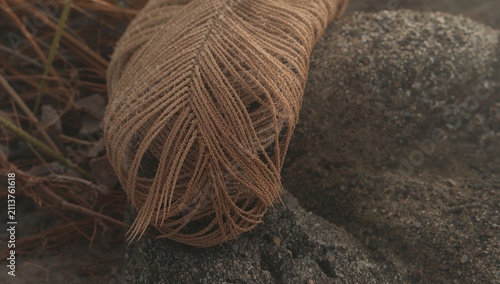 Natural Fibers on a Rock Near Sandy Beach in the Early Morning