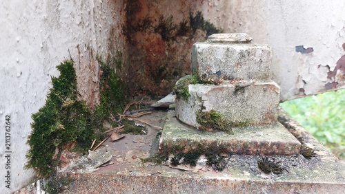 Moss Growing on Rusty Metal Fixture