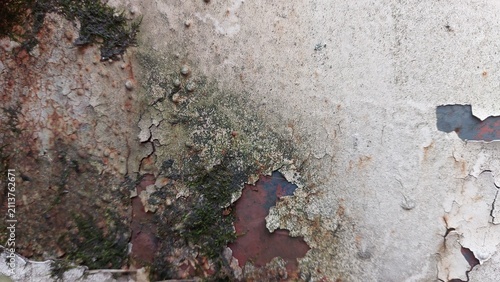 Weathered Metal Texture With Moss