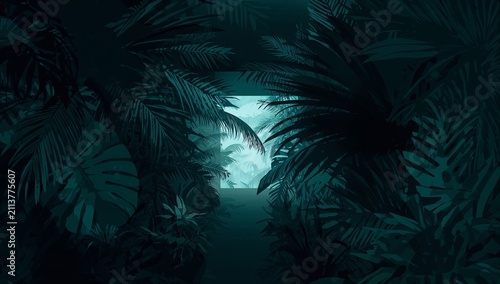 View From a Dark Jungle Leading to a Lighted Space and Window
