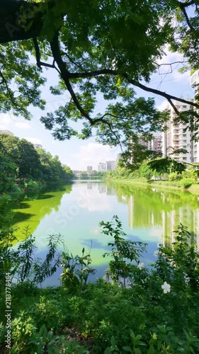 Lush Green Trees Framing a Serene Lake in a Peaceful Urban Park with Reflection in Bright Daylight