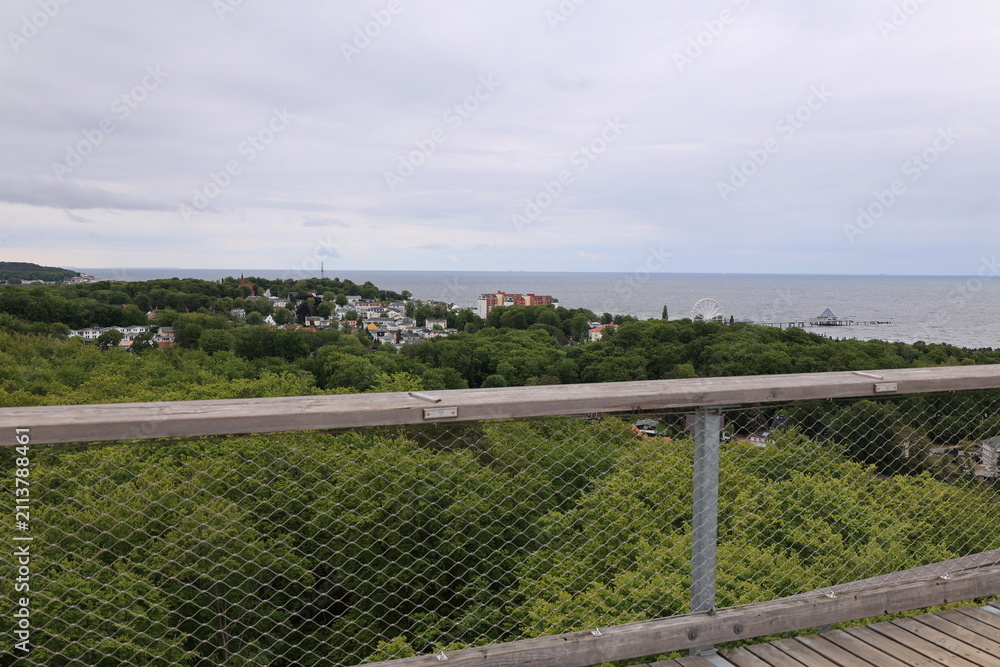 Fototapeta premium Blick von dem Heringsdorfer Baumwipfelpfad auf die Naturlandschaft der Ostseeinsel Usedom 