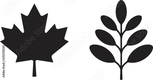 Fotografie Set of black leaf icons, maple leaf and pinnate leaf