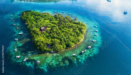 futuristic underwater farm with coral reef and lush green trees aerial view