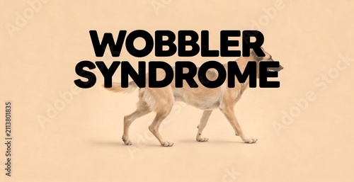 Text about Wobbler Syndrome with a dog exhibiting unsteady gait.
