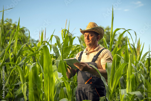A farmer stands among tall corn plants while using a tablet to check data. The sun shines brightly in the sky. It is a warm day in a rural area