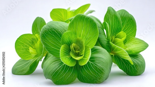Fresh, vibrant green bok choy arranged artistically, ideal for culinary websites, health blogs, or food magazines highlighting nutritious meals, Perfect for showcasing healthy lifestyle choices,