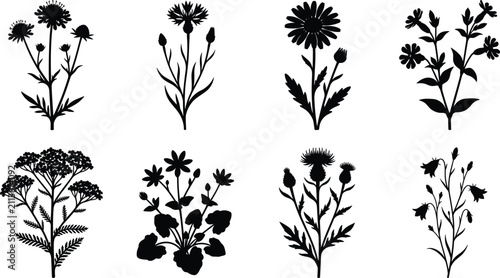 Wildflower Silhouette Collection with Botanical Floral Plants and Garden Flower Vector Elements
