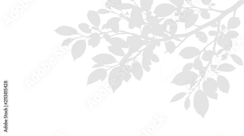 Foto Black Botanical Foliage Corner Border with Hand Drawn Baseline and Open Copy Spa