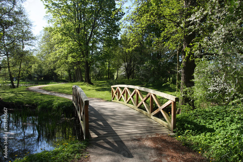 Wooden Footbridge Over Forest Stream in the nature in denmark north from Copenhagen
