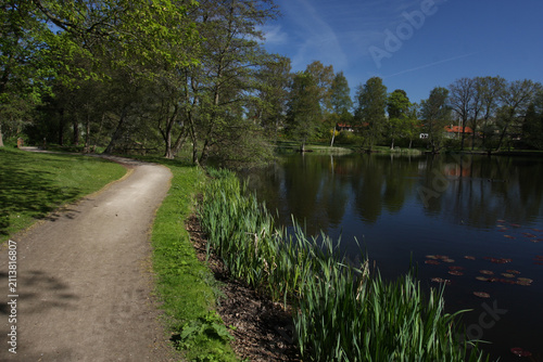 Path in the nature in denmark