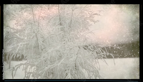 Snow covered tree branches capturing the enchanting beauty of a frozen winter forest