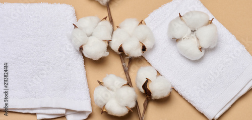 Fotografie A folded soft white terry towel and natural cotton bolls on a warm beige background symbolize purity and comfort