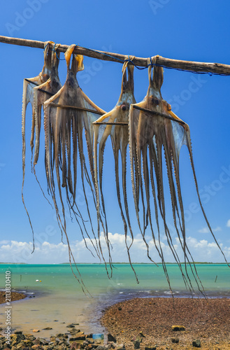 Octopus hanging up on a stick to dry on Rodrigues Island, Mauritius Archipelago	